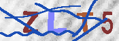 キャプチャ画像