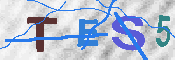 キャプチャ画像