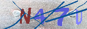 キャプチャ画像