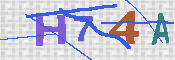 キャプチャ画像