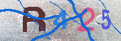 キャプチャ画像