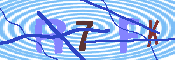 キャプチャ画像