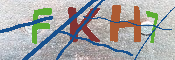 キャプチャ画像