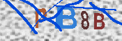 キャプチャ画像