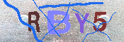 キャプチャ画像