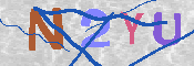 キャプチャ画像