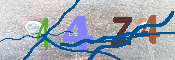 キャプチャ画像