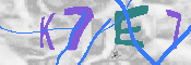 キャプチャ画像
