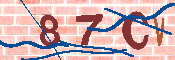 キャプチャ画像