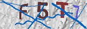 キャプチャ画像