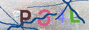 キャプチャ画像