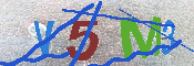 キャプチャ画像