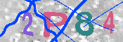 キャプチャ画像
