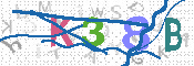 キャプチャ画像