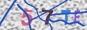 キャプチャ画像