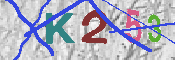 キャプチャ画像
