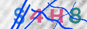 キャプチャ画像