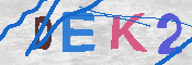 キャプチャ画像