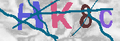 キャプチャ画像