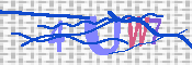 キャプチャ画像