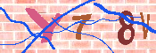 キャプチャ画像