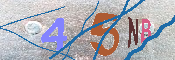 キャプチャ画像