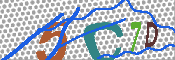 キャプチャ画像