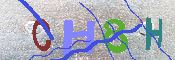 キャプチャ画像