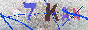 キャプチャ画像
