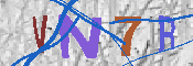 キャプチャ画像