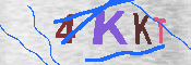キャプチャ画像
