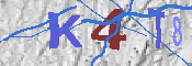 キャプチャ画像