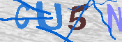 キャプチャ画像