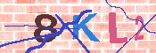 キャプチャ画像