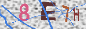 キャプチャ画像