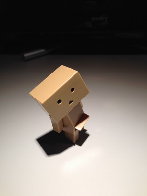 Danbo11