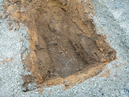 P1250571s
