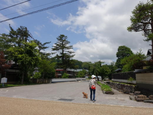 20190707blog0002