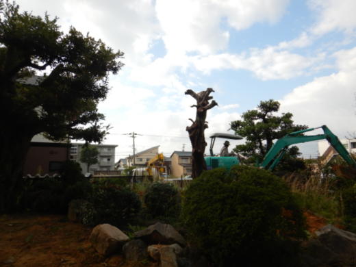 20191101blog0001(3)