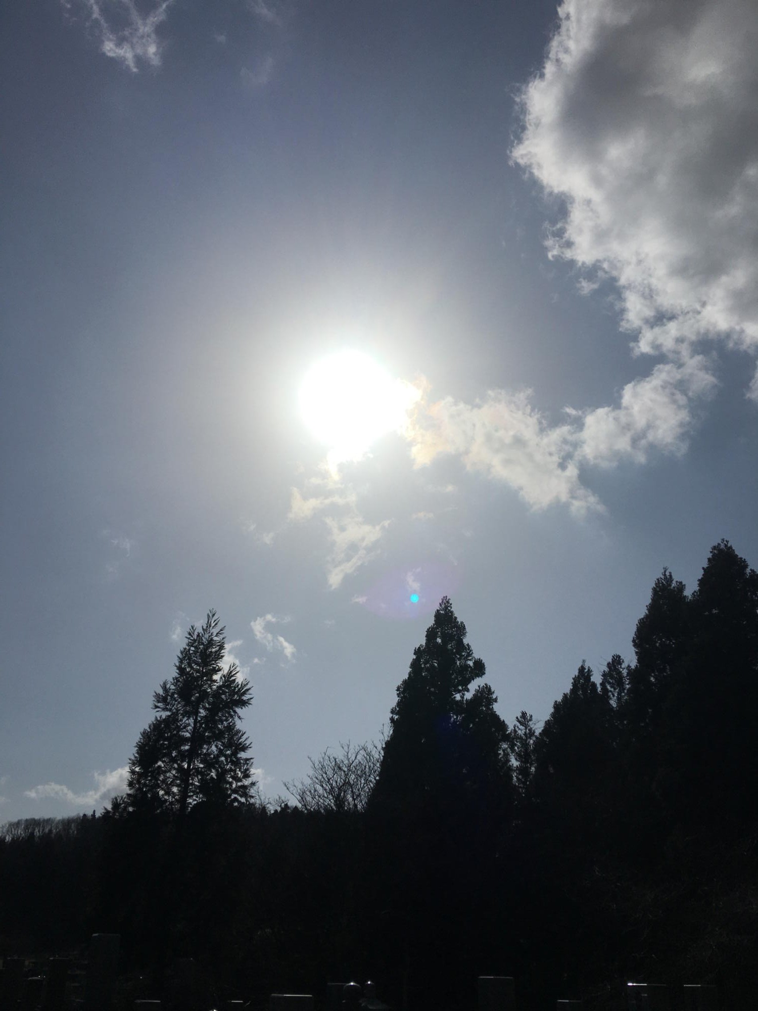 20200321blog0001(3)