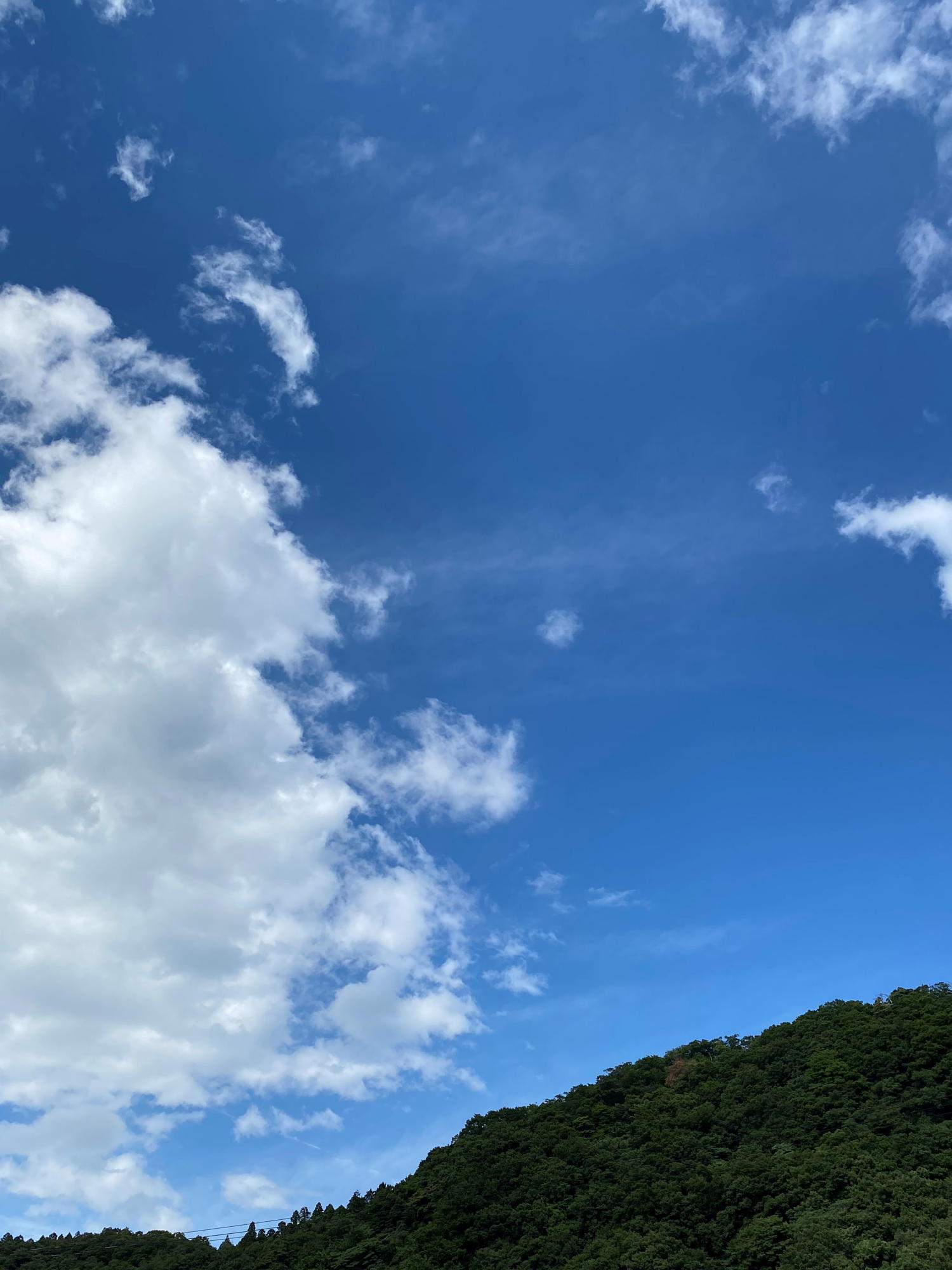 20220811blog0001(1)