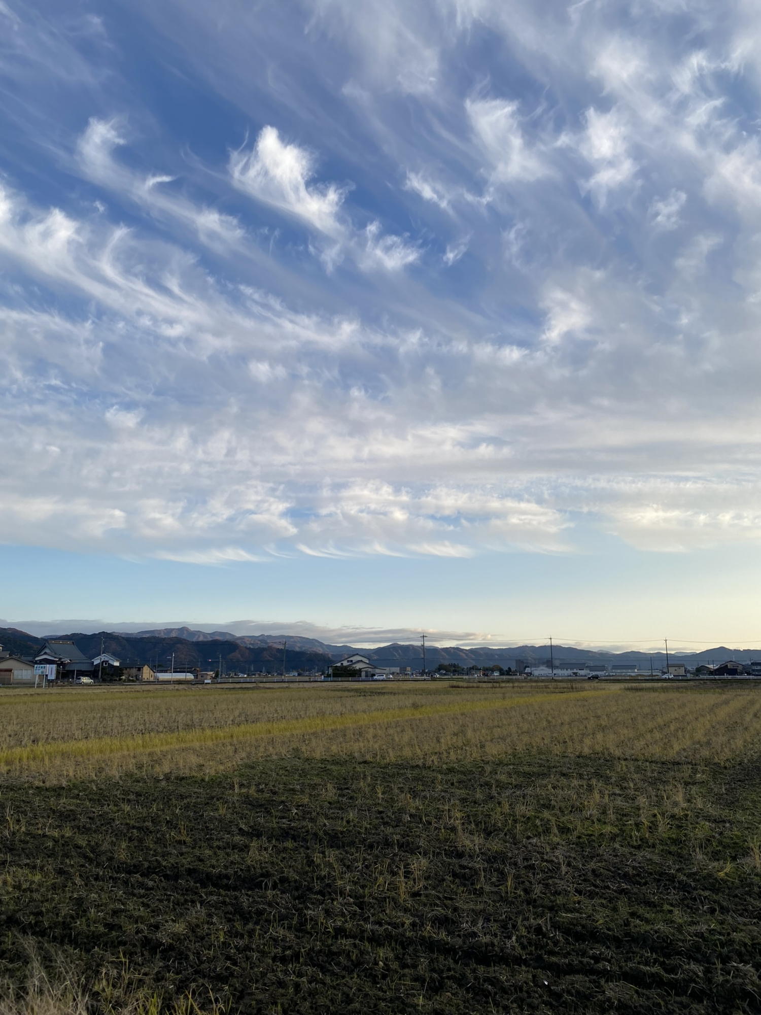 秋の空