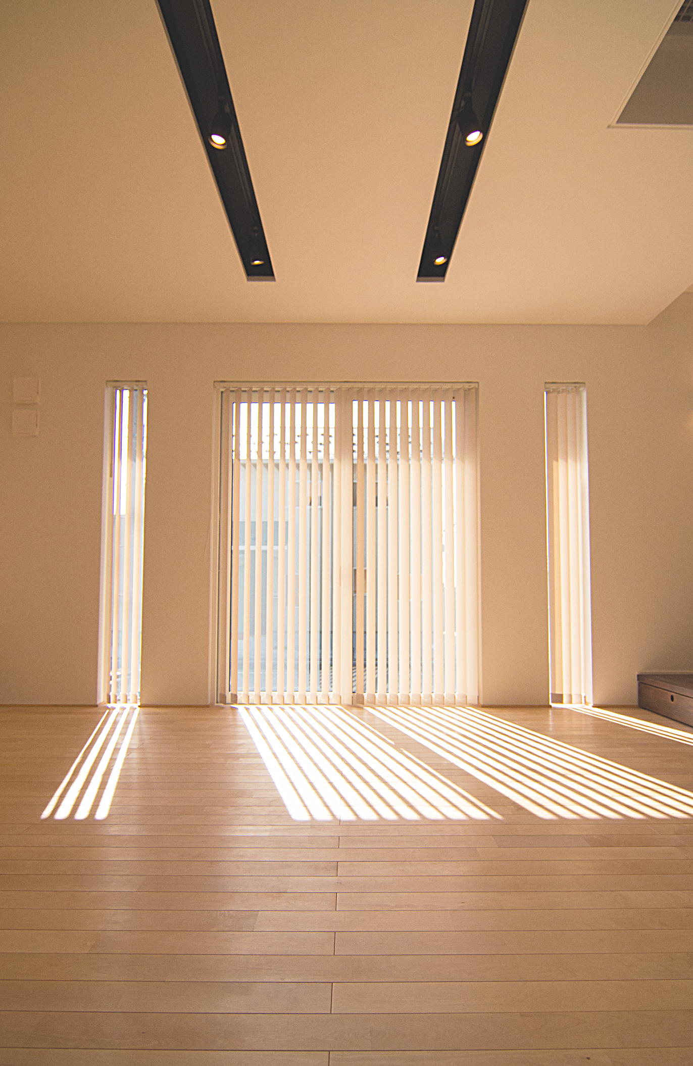 天井埋め込みスポットライト