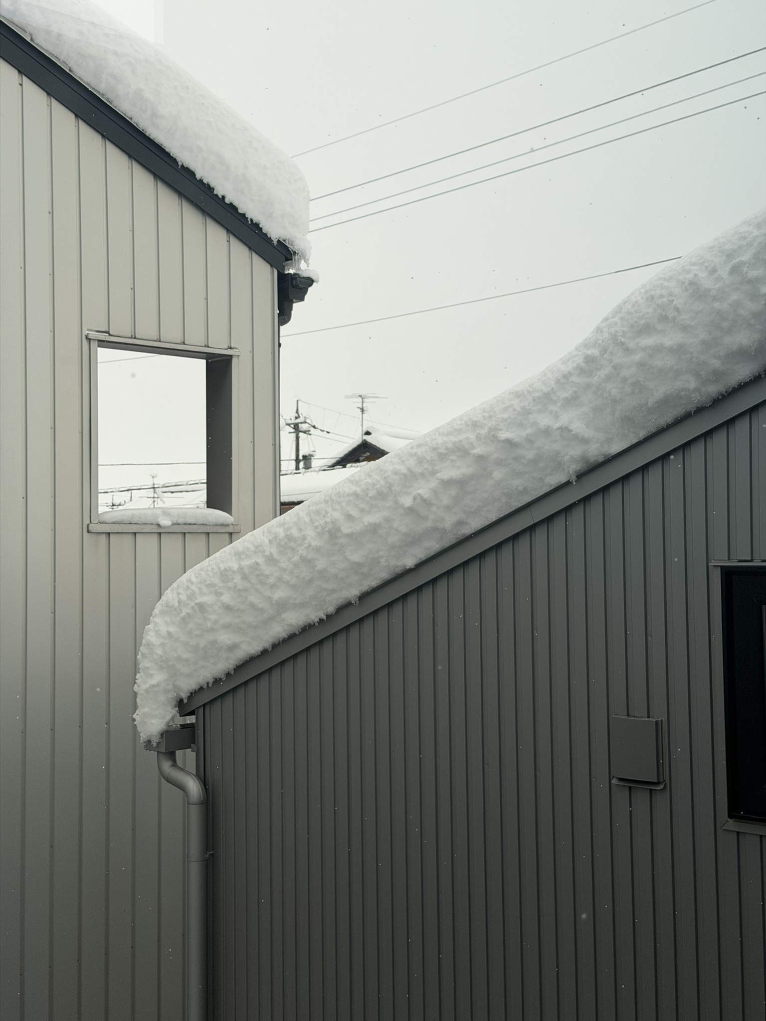福井　積雪30センチ