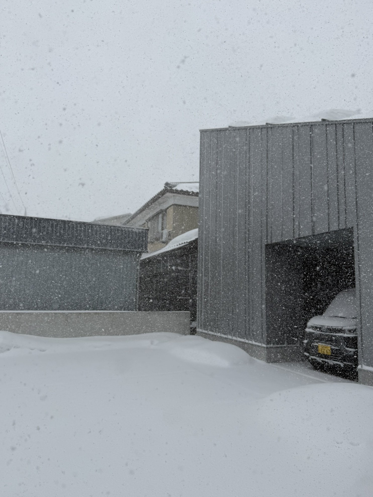 午前から降り出した雪で、外はまた一面の白に。