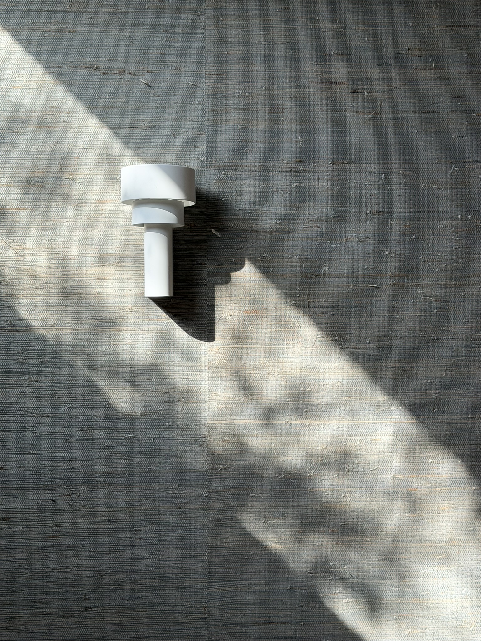 IMG_3526 冬の木漏れ日