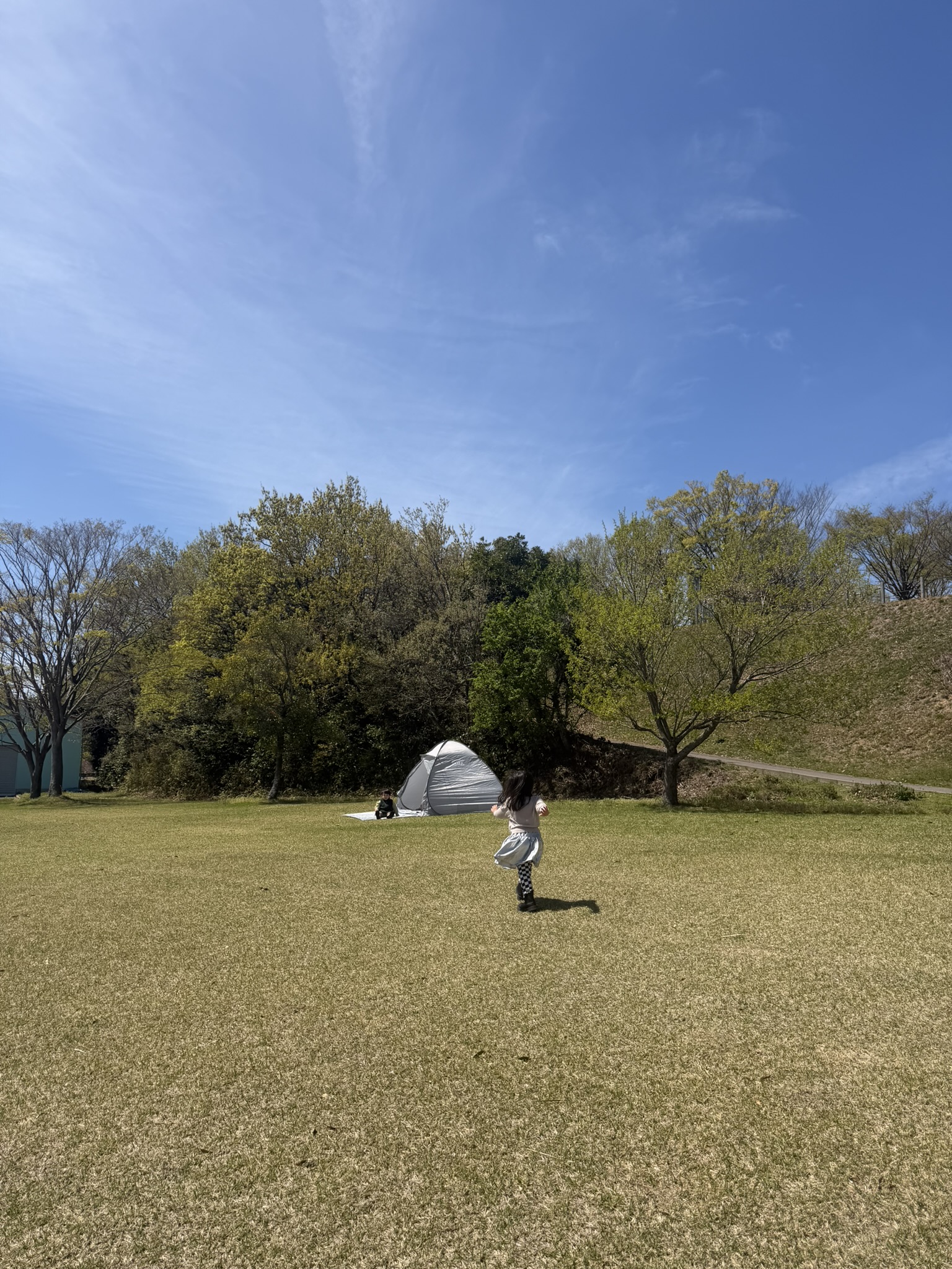 広い芝生の上を元気に走る姿に、こちらも笑顔になります