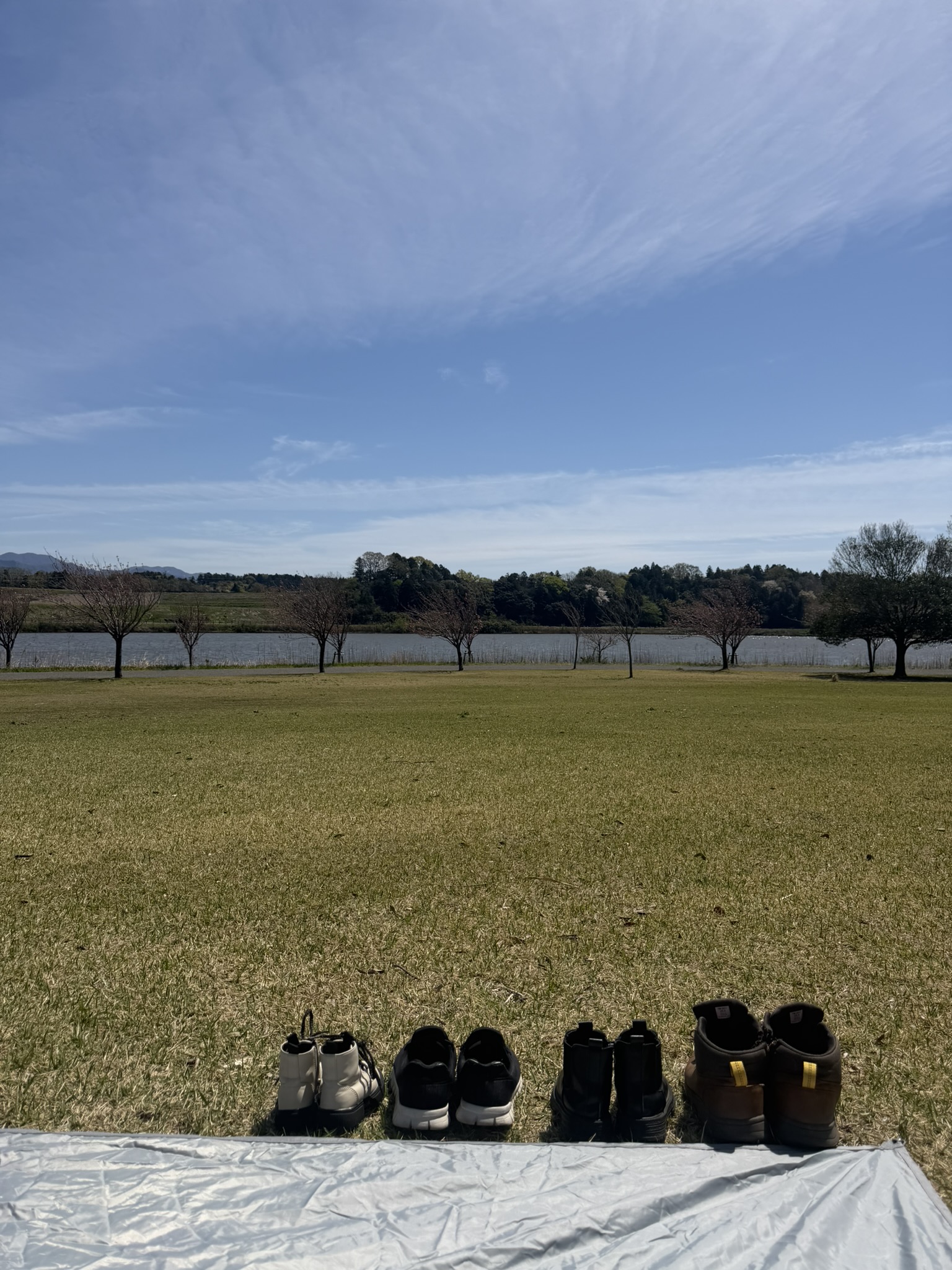 IMG_5275 湖を眺めながらのお弁当は、何よりのごちそうでした