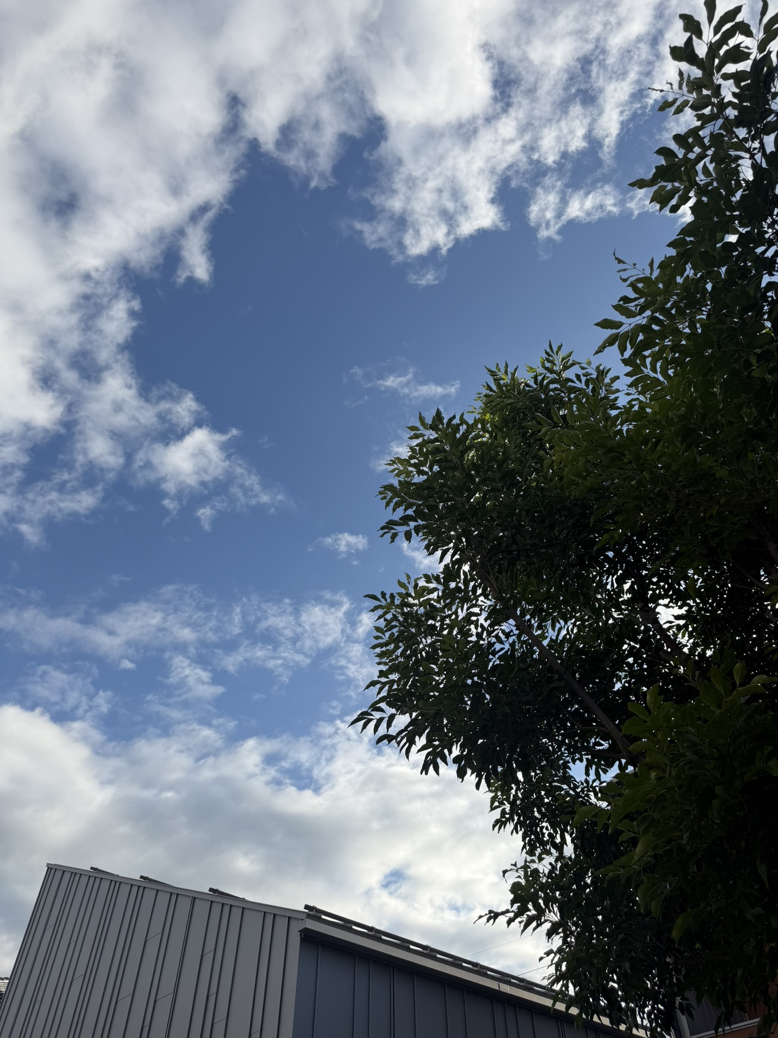 台風一過の空