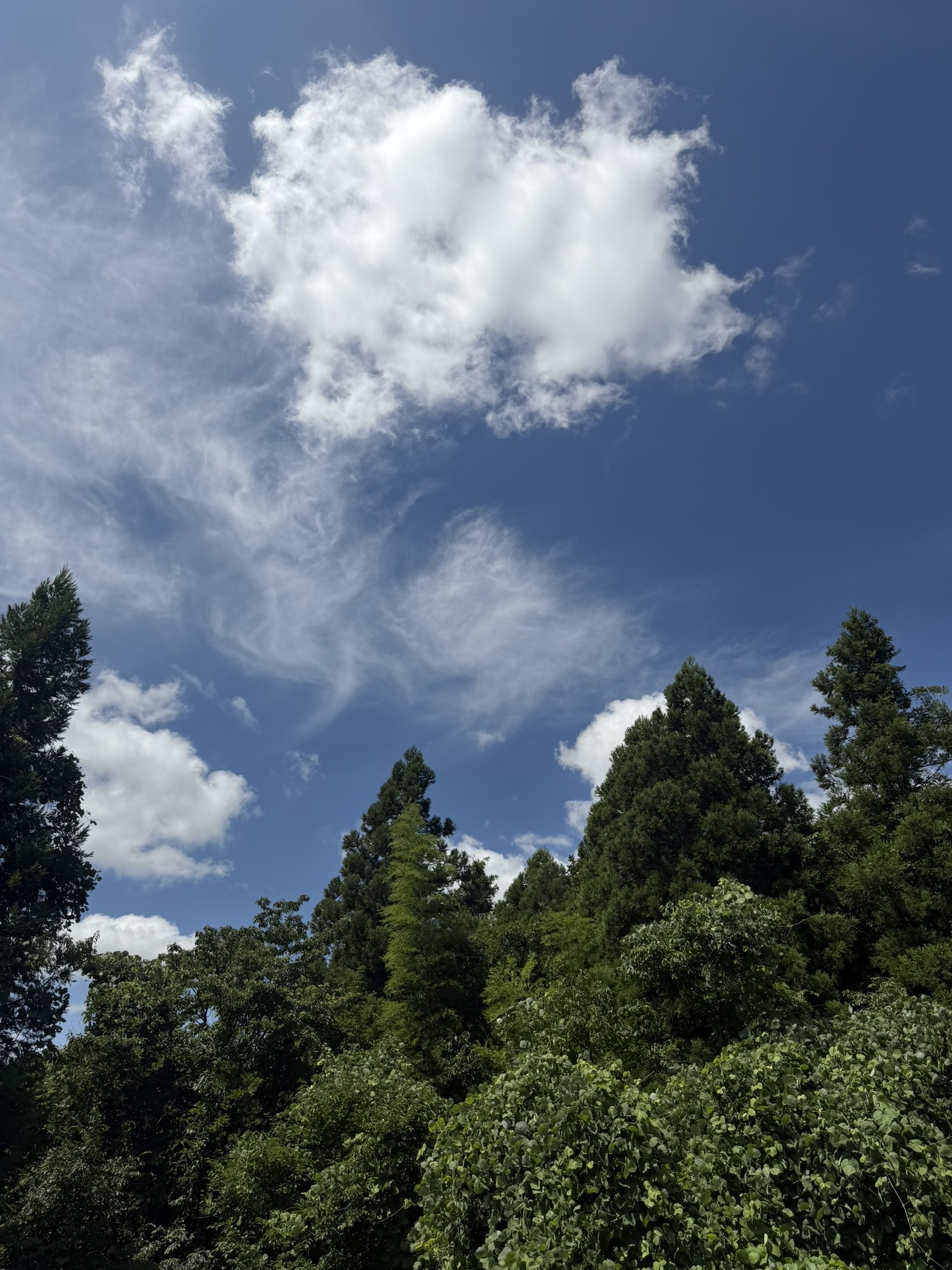 墓参りの青空